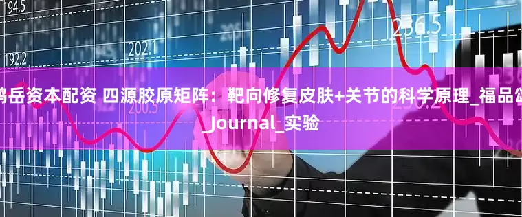 鸿岳资本配资 四源胶原矩阵：靶向修复皮肤+关节的科学原理_福品颂_Journal_实验