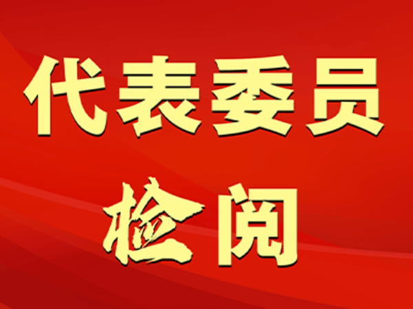 股E融 全国人大代表买世蕊：传承历史记忆离不开法治护航