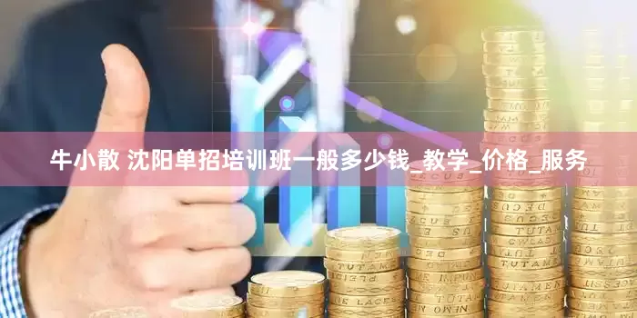 牛小散 沈阳单招培训班一般多少钱_教学_价格_服务