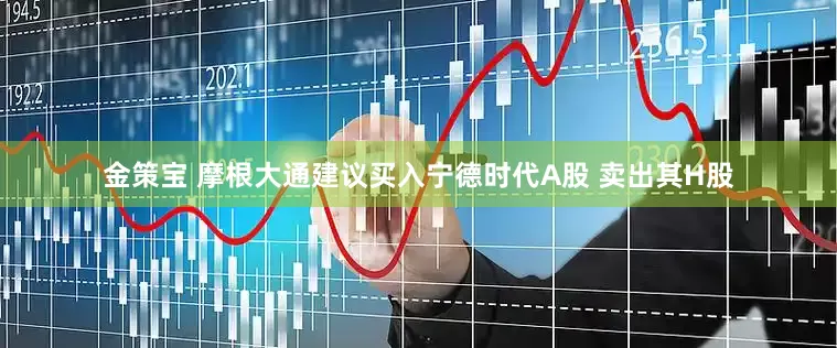 金策宝 摩根大通建议买入宁德时代A股 卖出其H股